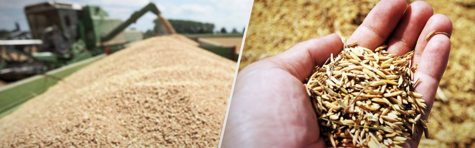 Партнерство