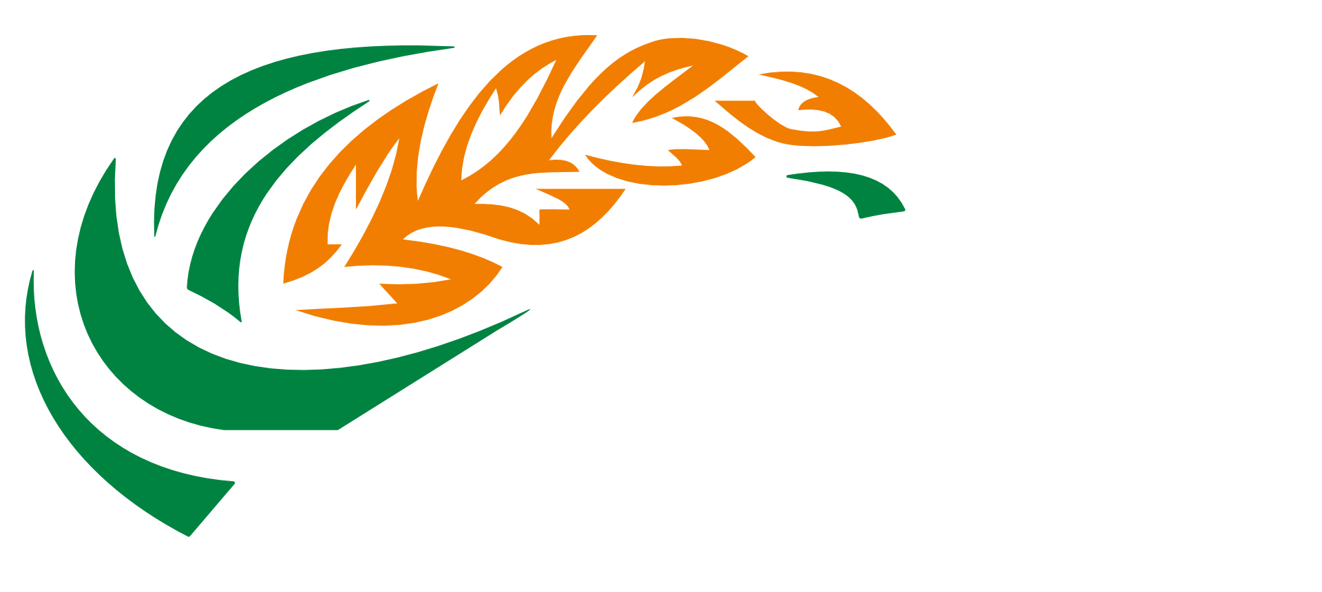 zerno-balance-logotyp